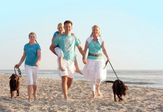 En familie med to børn og to hunde går langs stranden ved et sommerhus på en solrig dag.