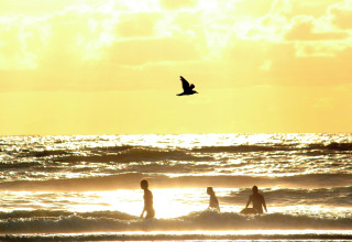 Tre personer ved stranden ved solnedgang, med en fugl flyvende over havet ved Beach Houses Zandvoort 2.