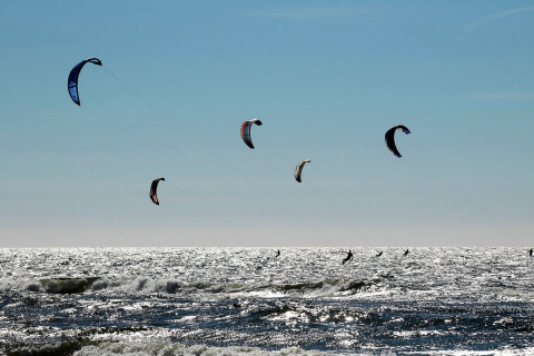 Flere kitesurfere nyder bølgerne og vinden under en klar himmel ved stranden med solglitrende vand.