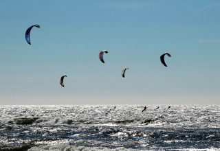 Flere kitesurfere nyder bølgerne og vinden under en klar himmel ved stranden med solglitrende vand.