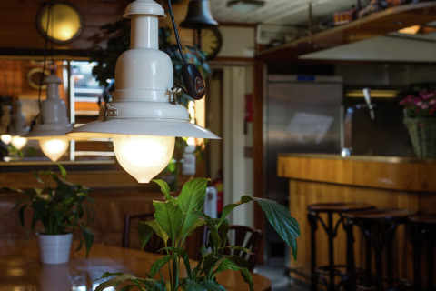 Sfeervol deel van woonboot in Leiden met lampen, groene planten en houten meubilair in Nederland.