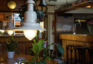 Gezellig deel van een woonboot in Leiden met verlichting, groene planten en houten interieur in Nederland.