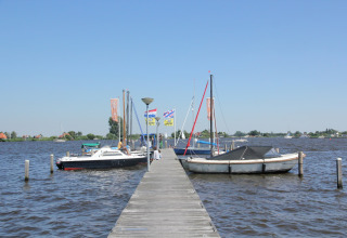 Træmole med lystbåde og flag ved Watervilla de Blauwe Reiger, under en klar blå himmel i Holland.
