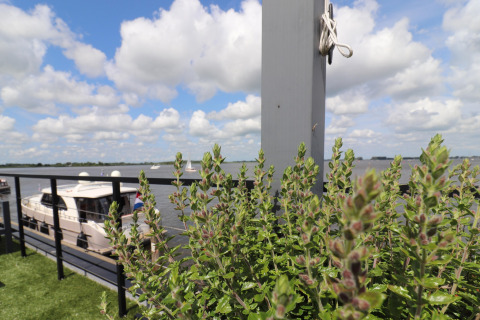 Uitzicht vanop Houseboat «Kohlenpott» in Nederland met groene planten en boten op het water achteraan.