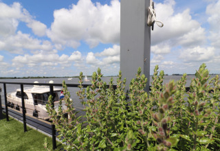 Vista desde Houseboat «Kohlenpott» en los Países Bajos con plantas verdes y barcos en el agua al fondo.