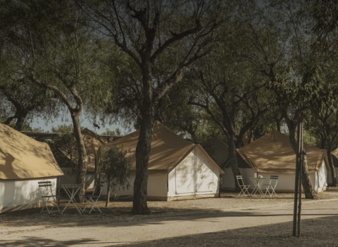 Safari-Zelte unter Bäumen mit Stühlen und Tischen davor, Bell Tent bei Wecamp Jávea in Spanien.