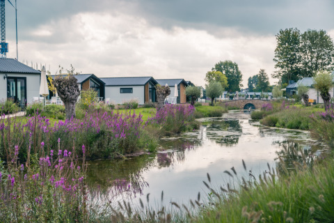 Glamping accommodatie met moderne huisjes, paarse bloemen en een rustige rivier onder bewolkte lucht.