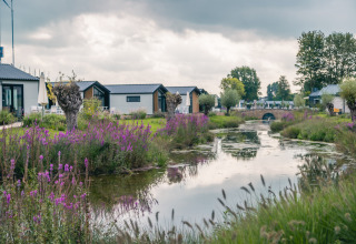 Glamping accommodation with modern cabins, purple flowers and a calm river under a cloudy sky.
