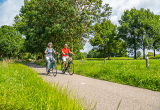 An older couple riding bicycles along a scenic path surrounded by greenery at a glamping accommodation.