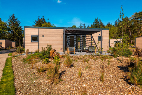 Modern lodge with patio seating in a wooded park setting at Vakantiepark De Wiltzangh in the Netherlands.