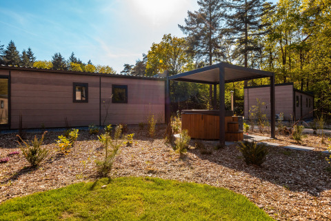 Groeneborg lodge with hot tub under a pergola at Vakantiepark De Wiltzangh, surrounded by nature and trees.