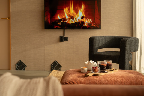 Knusse lodge met open haard op tv, moderne zetel en hapjes op poef bij De Weelderik in Nederland.