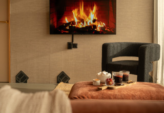 Knusse lodge met open haard op tv, moderne zetel en hapjes op poef bij De Weelderik in Nederland.