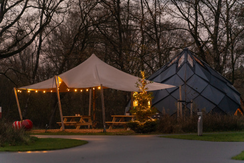 Outdoor scene at Unbrick One Lodge with a canopy tent, string lights, pine tree, and unique sauna and pool.