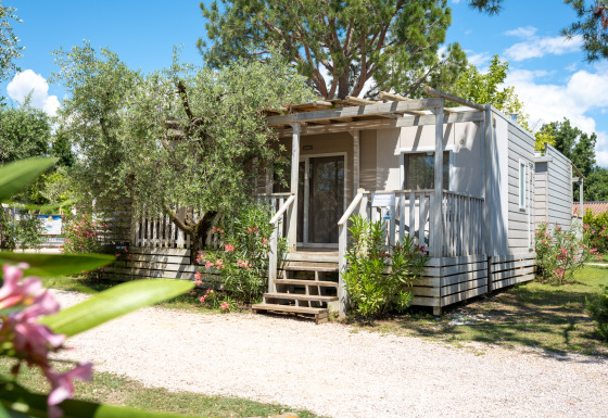 Foto van de Next XL Superiore lodge met houten veranda, groene planten en een heldere blauwe lucht.