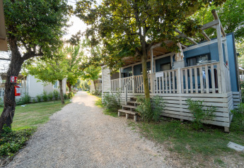 Sendero entre árboles y cabañas en Cottage Next L de Vacanze Glamping Boutique en Italia, día soleado.