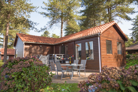 Afbeelding van een Luxe Lodge met houten gevel, terras en tuinmeubels, omringd door bomen en bloemen.