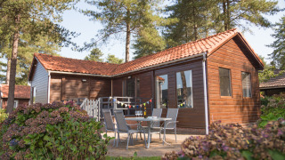 Foto di una Luxe Lodge in legno con patio, mobili da esterno, circondata da alberi e fiori in estate.