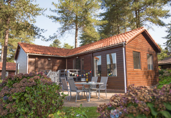 Foto di una Luxe Lodge in legno con patio, mobili da esterno, circondata da alberi e fiori in estate.