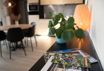 Intérieur de lodge moderne avec plante verte, magazines et lumière douce à Luxe Lodges, Arden Parks Tulderheyde, Belgique.