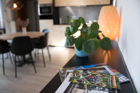 Moderne lodge met een plant, tijdschriften en sfeervolle verlichting in Luxe Lodges, Arden Parks Tulderheyde, België.
