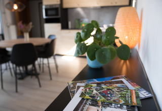 Moderne lodge met een plant, tijdschriften en sfeervolle verlichting in Luxe Lodges, Arden Parks Tulderheyde, België.