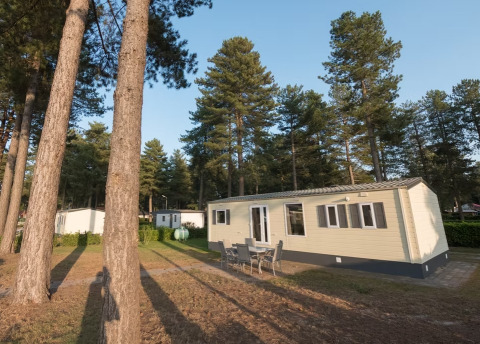 Sun Lodge Comfort: Casa mobile moderna e tavolo da esterno immersi tra alti pini in una pineta tranquilla.