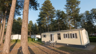 Sun Lodge Comfort: Casa mobile moderna e tavolo da esterno immersi tra alti pini in una pineta tranquilla.