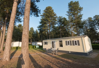 Sun Lodge Comfort: Casa mobile moderna e tavolo da esterno immersi tra alti pini in una pineta tranquilla.