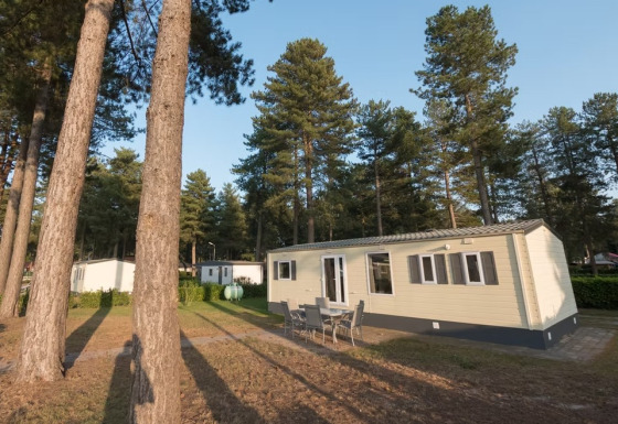 Sun Lodge Comfort: Casa mobile moderna e tavolo da esterno immersi tra alti pini in una pineta tranquilla.