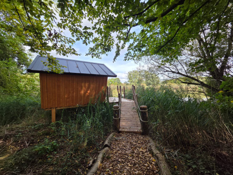 Glampingverblijf met houten hut en steiger, omgeven door veel groen en natuur aan het meer.