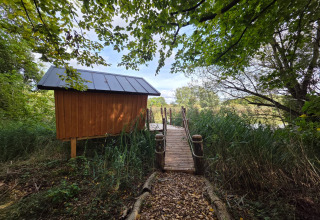 Glampingverblijf met houten hut en steiger, omgeven door veel groen en natuur aan het meer.
