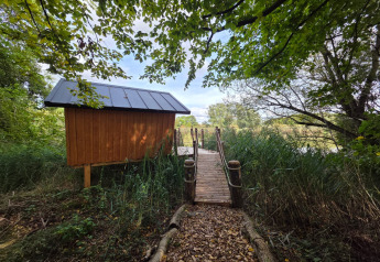 Hébergement glamping avec cabane en bois et ponton, entouré de verdure et d’arbres près d’un lac.