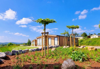 Chalet Enzian met moderne houten gevel, jonge bomen, rotsen en tuin in een zonnige, groene omgeving.