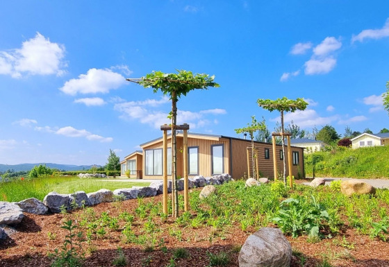 Chalet Enzian features modern wood exteriors, young trees, rocks, and gardens under a bright blue sky.