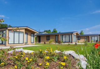 Chalet Enzian bij Camping & Ferienpark Brilon in Duitsland, moderne huisjes met bloemen en helderblauwe lucht.