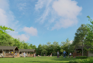 Gezinnen ontspannen bij safaritenten van Kampeerdorp de Zandstuve, midden in het groen en onder de zon.