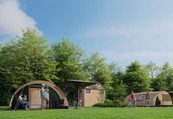 Tiendas safari con baño privado en Kampeerdorp de Zandstuve, De Waard Tunneltent, rodeadas de árboles.