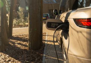Elektrische wagen laadt op bij Suite at Woodz Lodges in België, midden in de natuur tussen bomen.