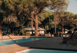 Person slapper af i poolen i Wecamp Cádiz feriepark i Andalusien, Spanien, omgivet af fyrretræer.