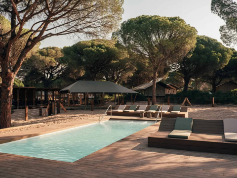 Swimming pool and lounge chairs among trees at Wecamp Cádiz holiday park in Andalusia, Spain.