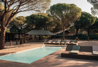 Billede af swimmingpool og liggestole omgivet af træer på ferieparken Wecamp Cádiz i Andalusien, Spanien.