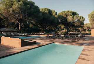 Espace piscine extérieure au Wecamp Cádiz, parc de vacances en Andalousie, Espagne, entouré d’arbres et de transats.