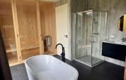 Modern bathroom at Modus Wellness 2 lodge with freestanding tub, glass shower, sauna, and sink area.