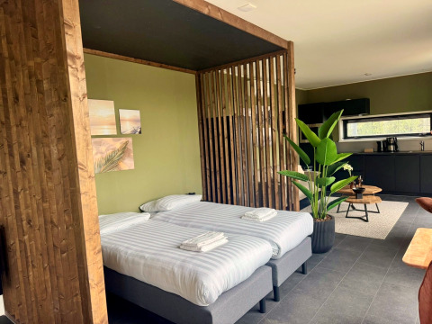 Moderne lodge Modus Wellness 2 ved Zuiderzee i Holland med to enkeltsenge, køkken og grønne planter.