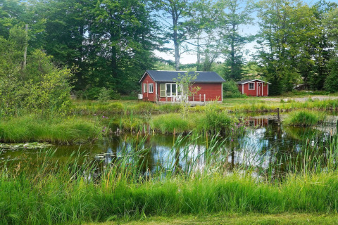 Casa vacanze rossa in legno presso uno stagno, immersa nel verde e alberi a Smedstorp, Svezia, ambiente tranquillo.
