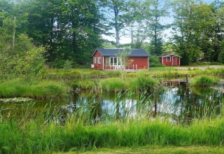 Maison rouge en bois près d'un étang bordé de verdure et d'arbres à Smedstorp, Suède, cadre paisible.