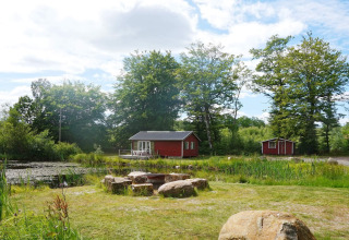 Rød 4-personers feriebolig ved søen i Smedstorp, Sverige, omgivet af træer og natur om sommeren.