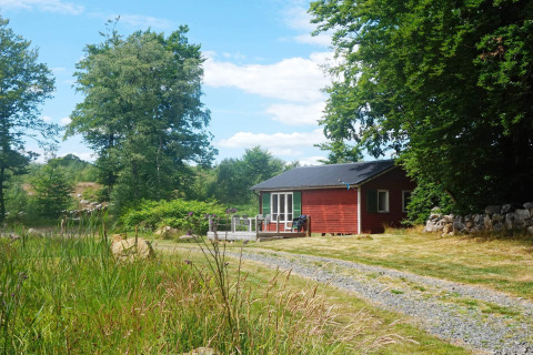 Rood vakantiehuisje voor 4 personen in SMEDSTORP, Zweden, omringd door weelderige natuur en bomen.