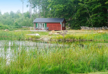 Kleines rotes Ferienhaus am Teich, umgeben von üppiger Natur in SMEDSTORP, Schweden, ideal für 4 Personen.